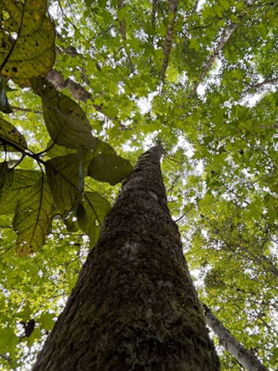 Impressie van praktijk psycholoog Amsterdam West